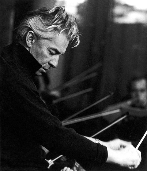 R. STRAUSS: Don Quixote, Till Eulenspiegel, Don Juan | 特長