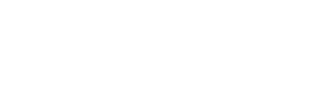 Grandioso N1T