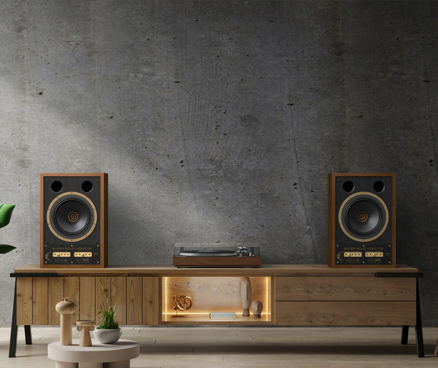 TANNOY システムパワースピーカー VXP 6 | ビーテック株式会社