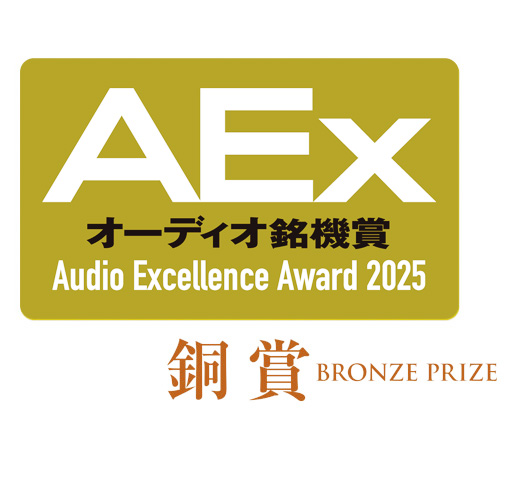AEX 2025 Bronze